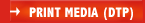 Print Media (DTP)
