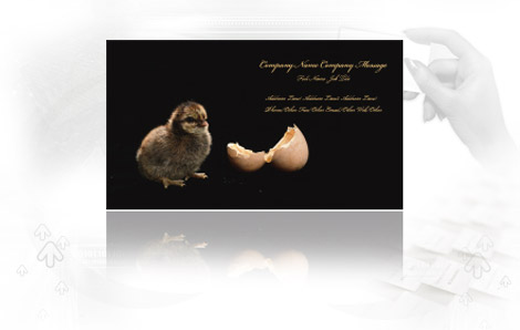 Business Cards Design Sample 10