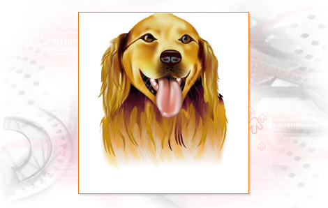 Illustration Design Sample 10