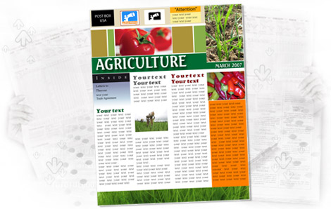 Newsletter Design sample 2