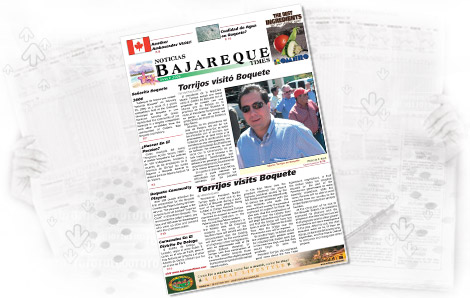 Newsletter Design sample 6